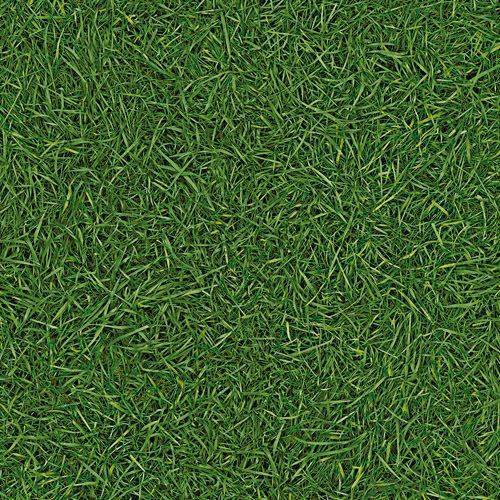 Линолеум бытовой "IVC" Neo Grass 25 (4м) — купить в Прокопьевске